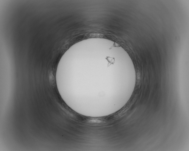 X0000111930614200908171238