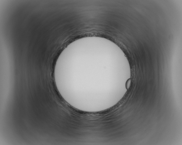 X0000111930615200908171238