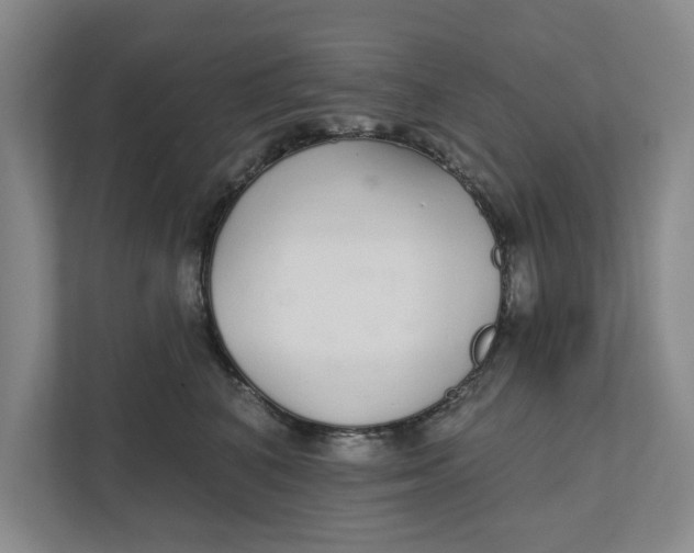 X0000111930616200908171238