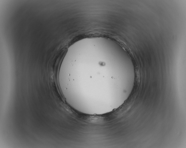 X0000111930617200908171238