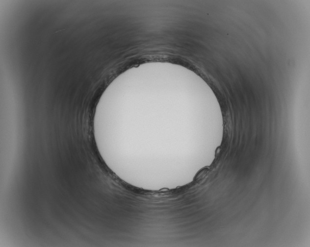 X0000111930619200908171238