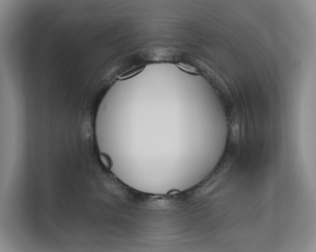 X0000111930620200908171238