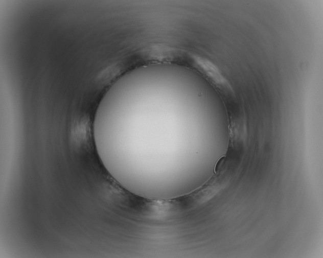 X0000111930623200908171238