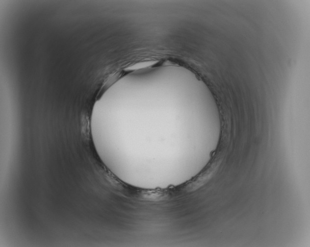 X0000111930624200908171238