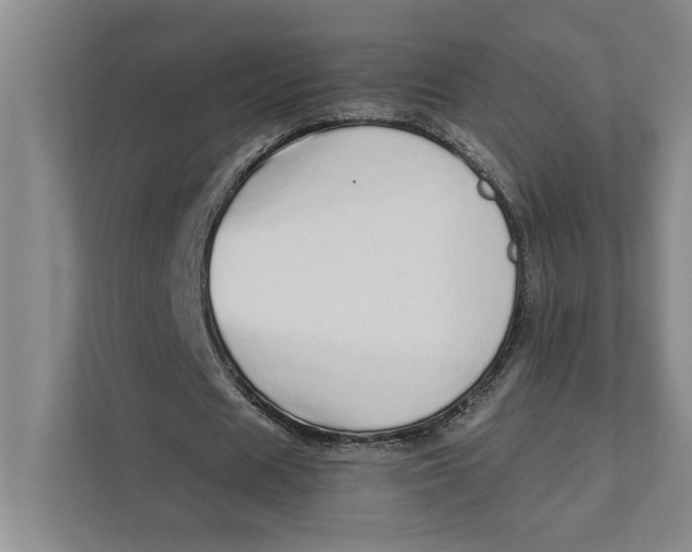 X0000111930625200908171237