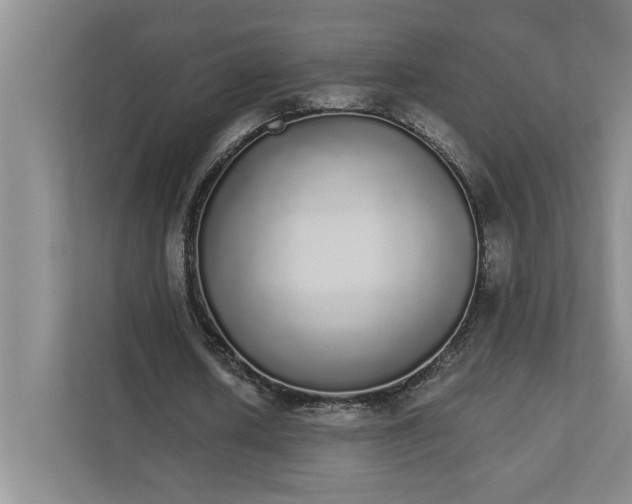 X0000111930626200908171237