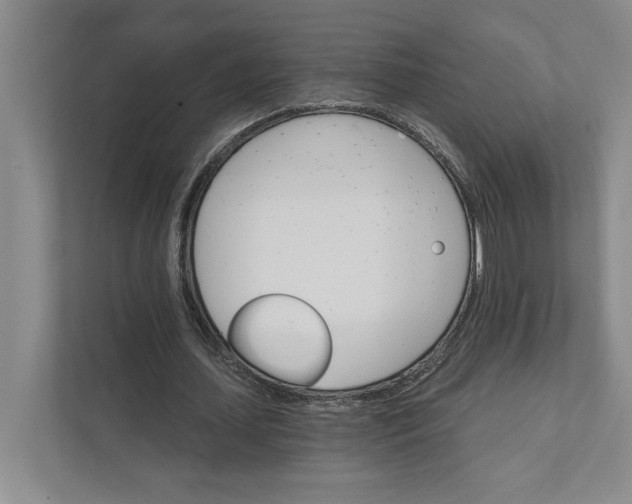 X0000111930627200908171237