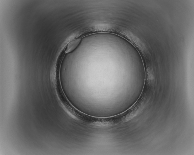 X0000111930630200908171237