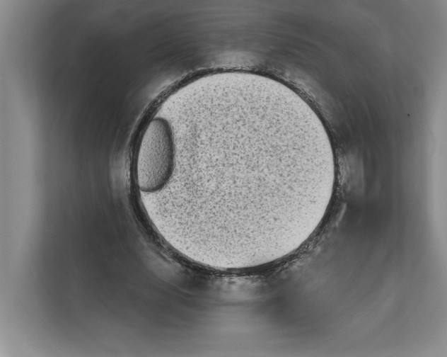 X0000111930632200908171237