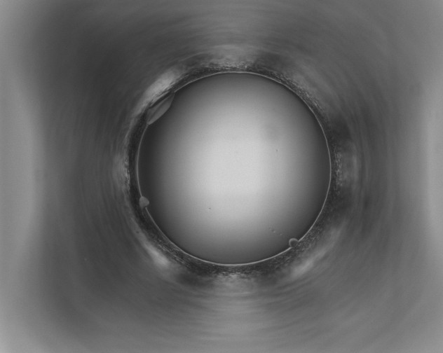 X0000111930634200908171237