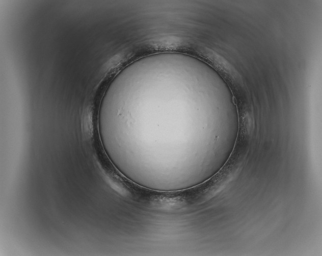 X0000111930638200908171237