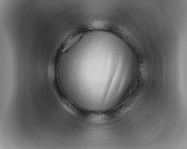 X0000111930642200908171237