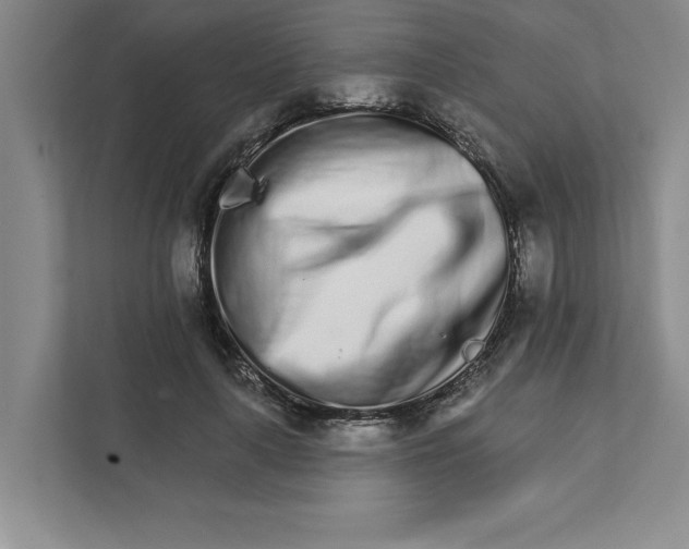 X0000111930643200908171237