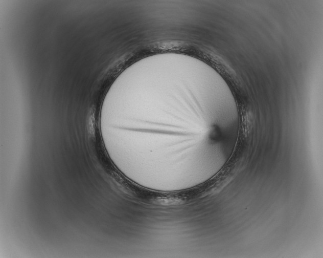 X0000111930644200908171237