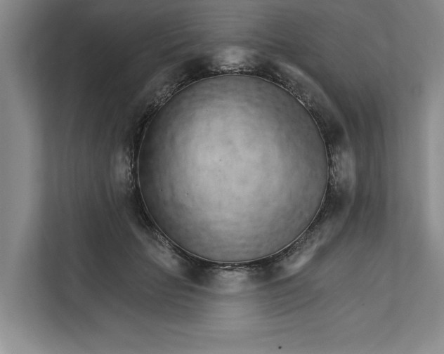 X0000111930653200908171237