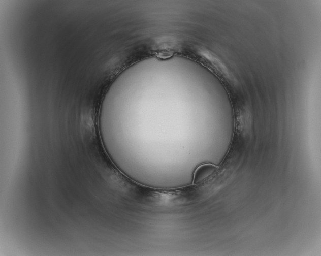 X0000111930662200908171237