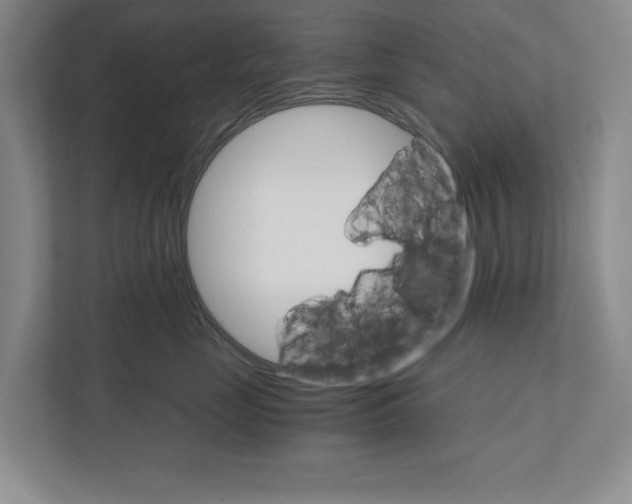 X0000111930669200908171238