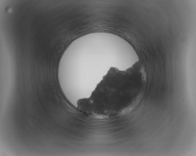 X0000111930670200908171238