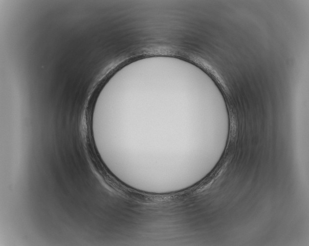 X0000111930674200908171237