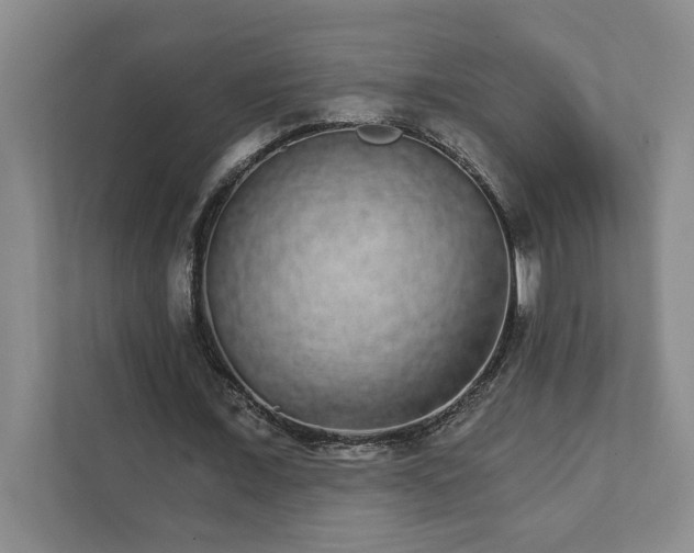 X0000111930675200908171237