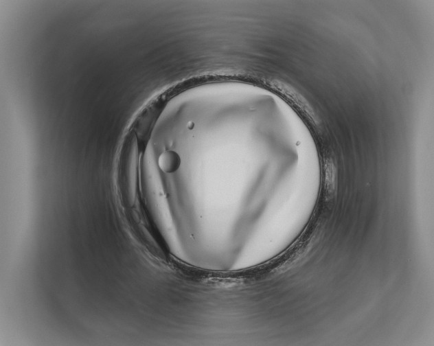 X0000111930676200908171237