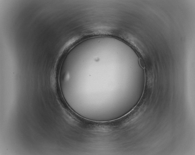 X0000111930677200908171237