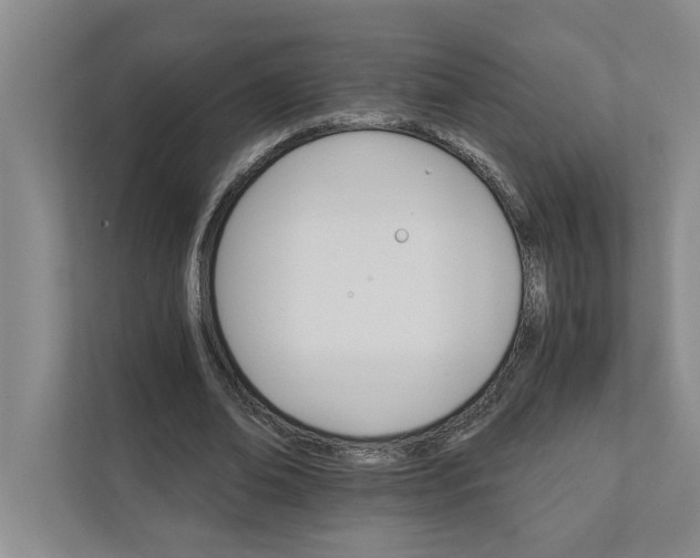 X0000111930678200908171237