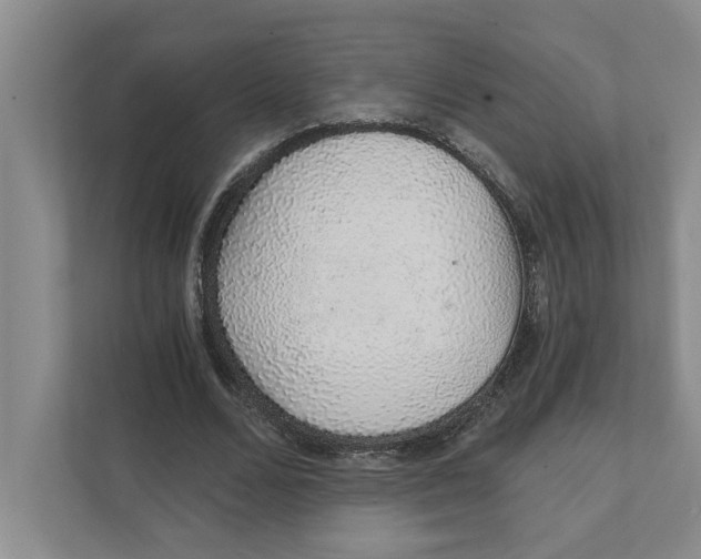 X0000111930680200908171237