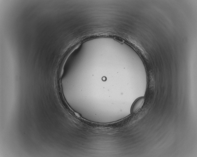 X0000111930681200908171237