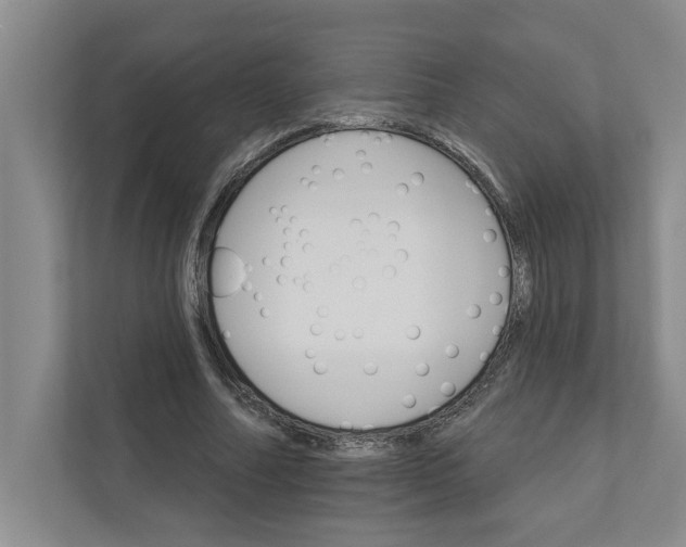 X0000111930682200908171237