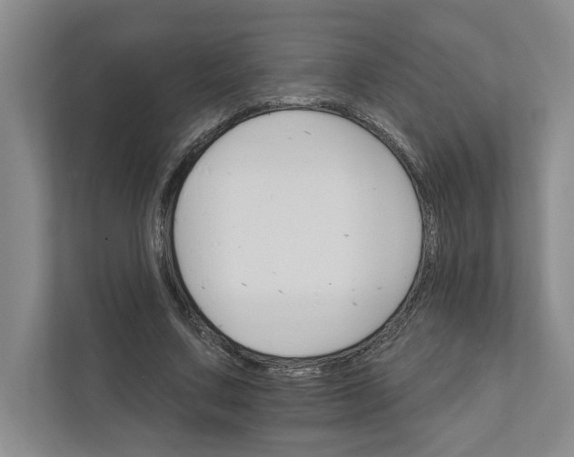 X0000111930683200908171237