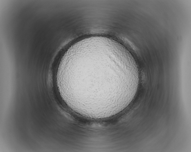 X0000111930684200908171237