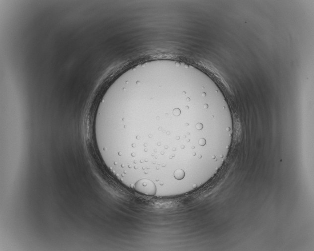 X0000111930686200908171237