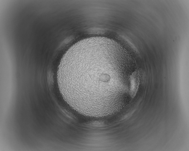 X0000111930692200908171237