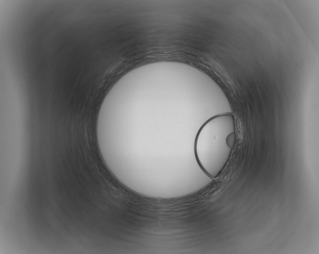 X0000111930697200908171237