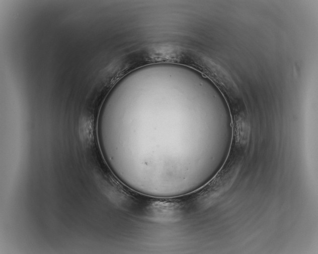 X0000111930699200908171237