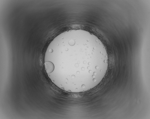 X0000111930702200908171237