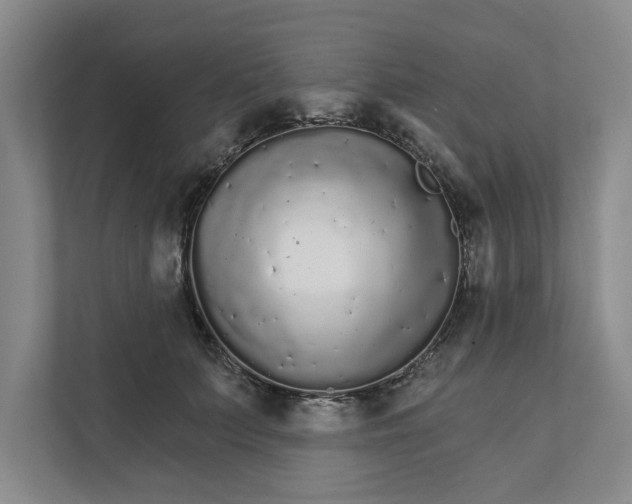 X0000111930703200908171237