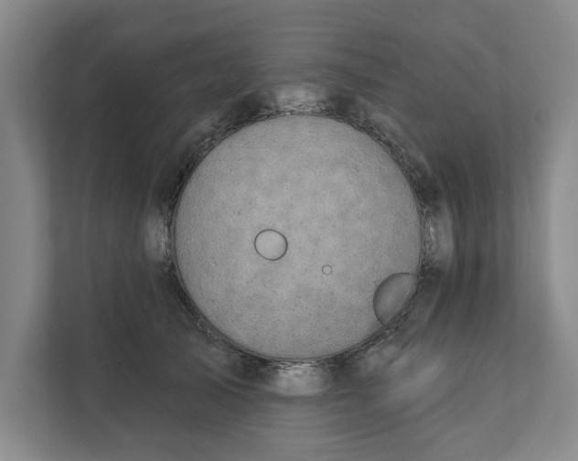 X0000111930705200908171237