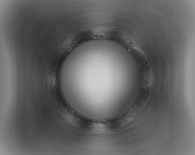 X0000111930706200908171237