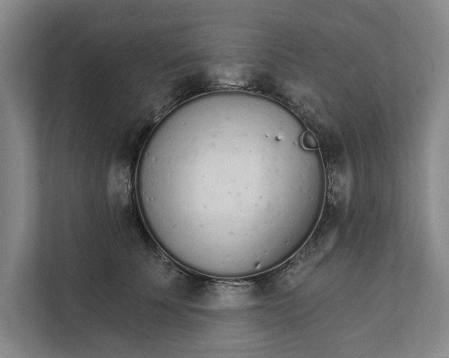 X0000111930707200908171237