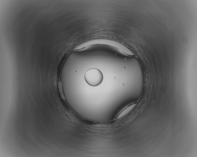 X0000111930708200908171236