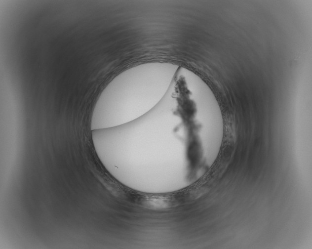 X0000111930710200908171236