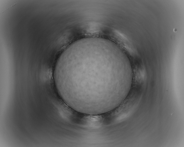 X0000111930711200908171236