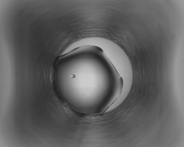 X0000111930712200908171236