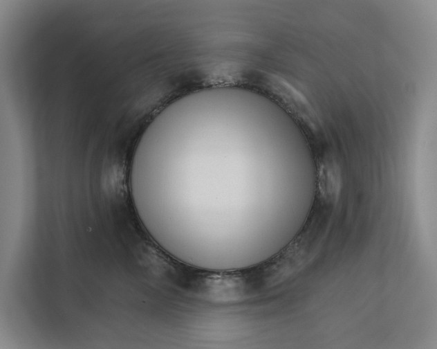 X0000111930714200908171236