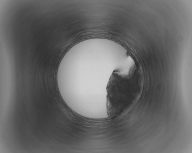 X0000111930715200908171236