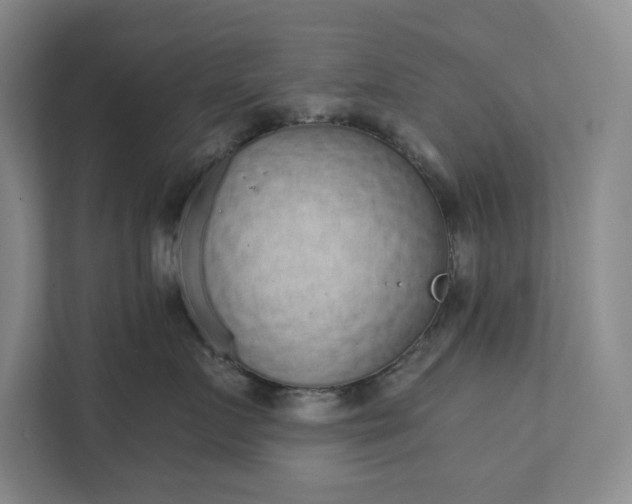 X0000111930719200908171236