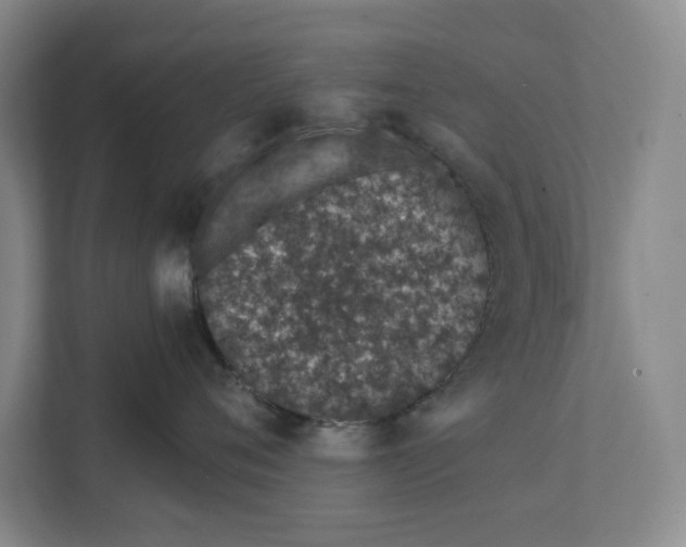 X0000111930720200908171236