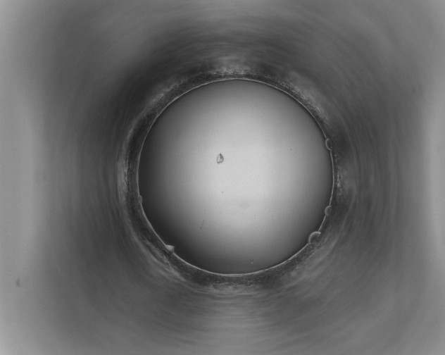 X0000111930722200908171236